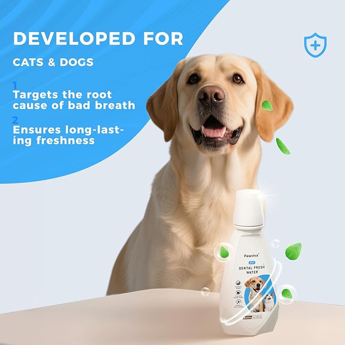 Pet Dental Fresh Water for Dogs and Cats, 10.14 fl oz, Gentle Formula