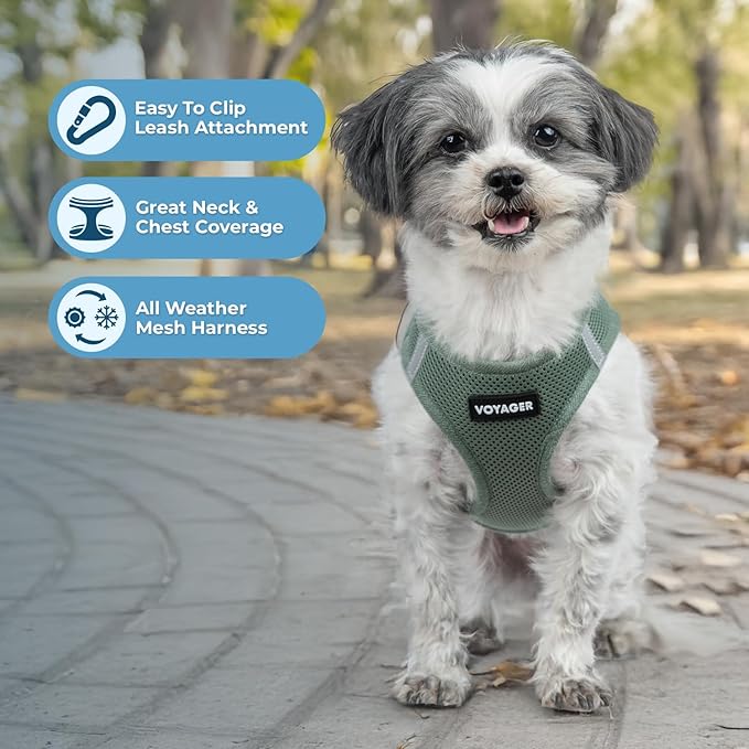 Best Pet Supplies Voyager Step-in Air Harness - All Weather Mesh, Reflective, No Pull Harness for Dogs, Cats - Secure with Hook & Loop Fastener, Buckle, Double D-Rings - Moss Green, L