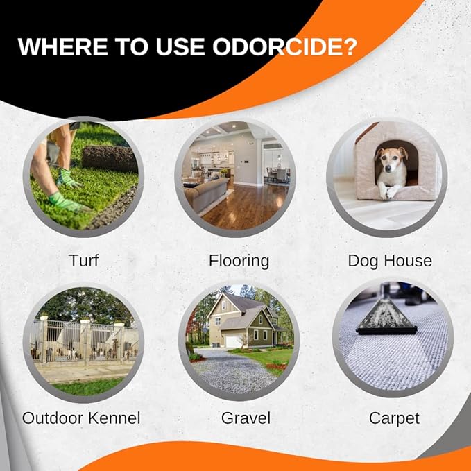 Odorcide Odormed Odor Eliminator Concentrate - Pet Odor Eliminator for Strong Odor on Floors, Walls, Cages & More - All-Purpose with Safe, Non-Enzymatic Formula (1 Gal, Caribbean Citrus Mist)
