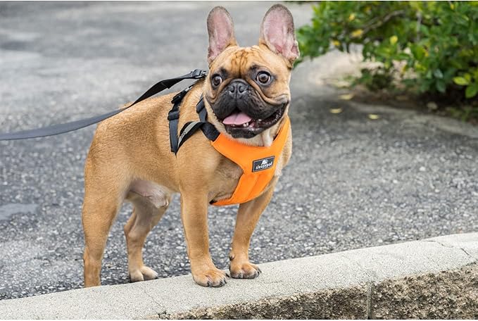 Clickit Sport Plus - Crash-Tested and Safety Certified Car Seat Belt Harness for Dogs (Extra Large, Jet Black)