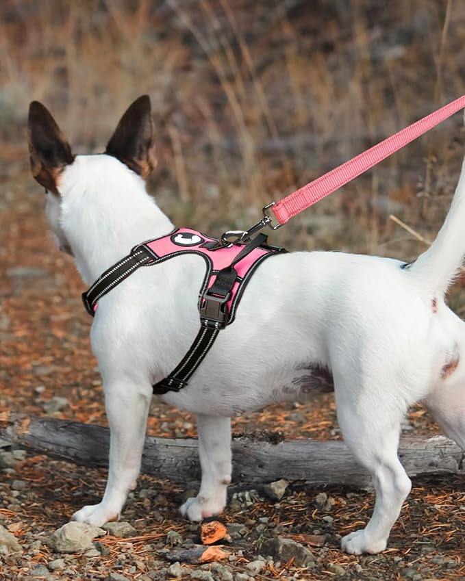 Joytale Double-Sided Reflective Dog Leash, 4 FT, Padded Handle Nylon Heavy Duty Leashes for Small & Medium Dogs Walking, Neon Pink