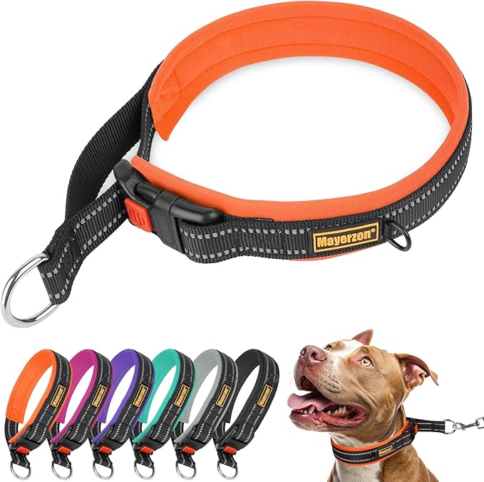 Mayerzon 1.5" Wide Martingale Collar for Large Medium Small Dogs Pitbull German Shepherd, No Pull Reflective Slip & Martingale Dog Collar with Buckle Soft Padded for Walking Training(Orange, XL)