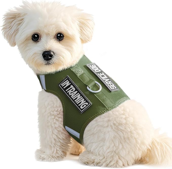 Dog Harness for Puppy – Adjustable Reflective Easy Put On Soft Mesh Vest for Small Dogs with 2 Patches (Misty Green,XS)