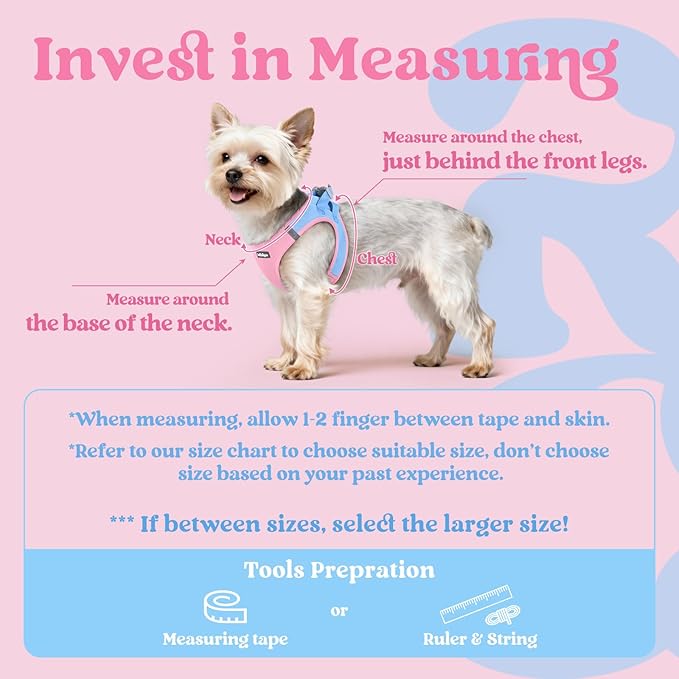 rabbitgoo Small Dog Harness, Step-in Soft Mesh Puppy Vest with Safety Buckle, Breathable Reflective Pet Harness for Large Dogs, Blue & Light Pink XXL
