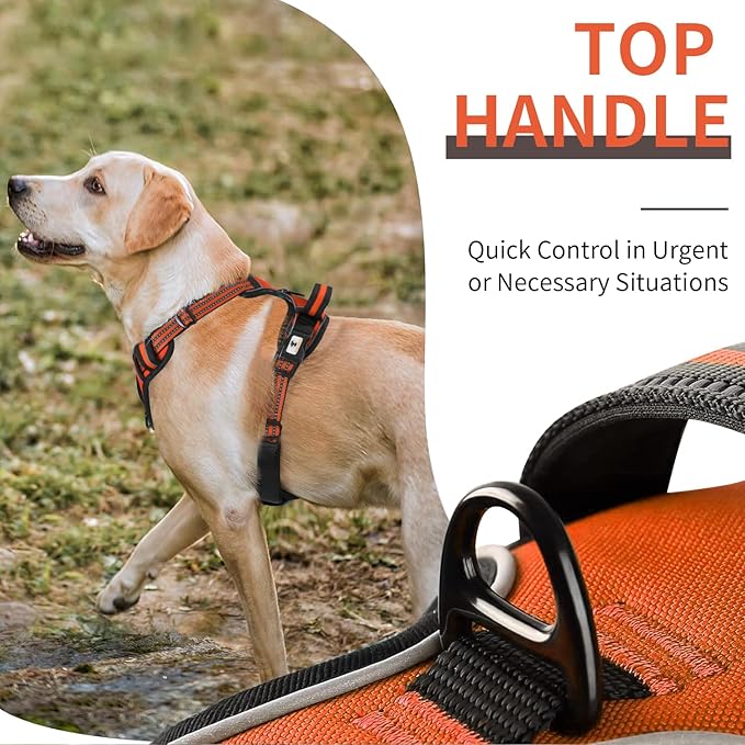 kazazoo Dog Harness, No-Pull Pet Breathable Harness, Adjustable Soft Padded Dog Vest with 2 Leash Clips, Reflective No-Choke Pet, Easy Control Handle for Large Dogs, Orange, XL