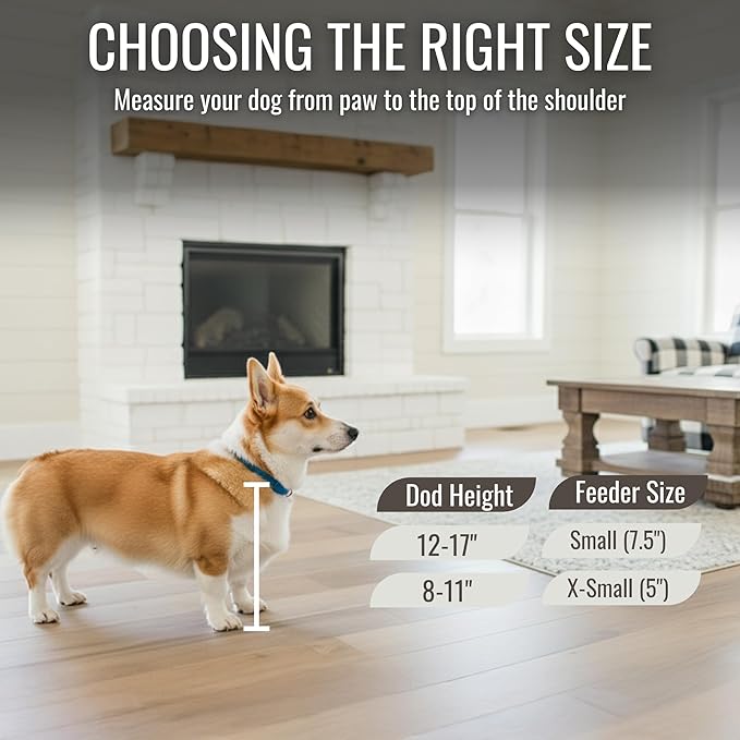 GTW Classic Dog Feeder - Elevated Stand with Stainless Steel Bowls Farmhouse Style, Anti-Slip, Easy Clean, Chic & Durable Design (Small, Grey)