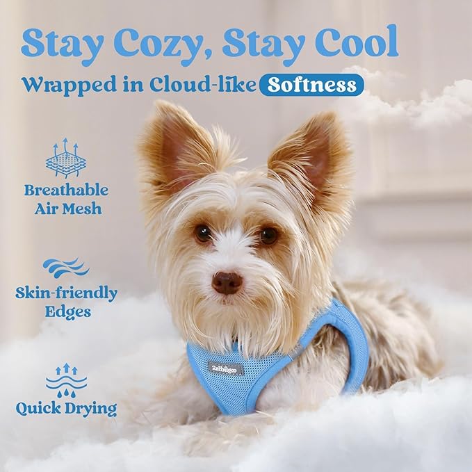rabbitgoo Small Dog Harness, Step-in Soft Mesh Puppy Vest with Safety Buckle, Breathable Reflective Pet Harness for Small Sized Dogs, Blue XS