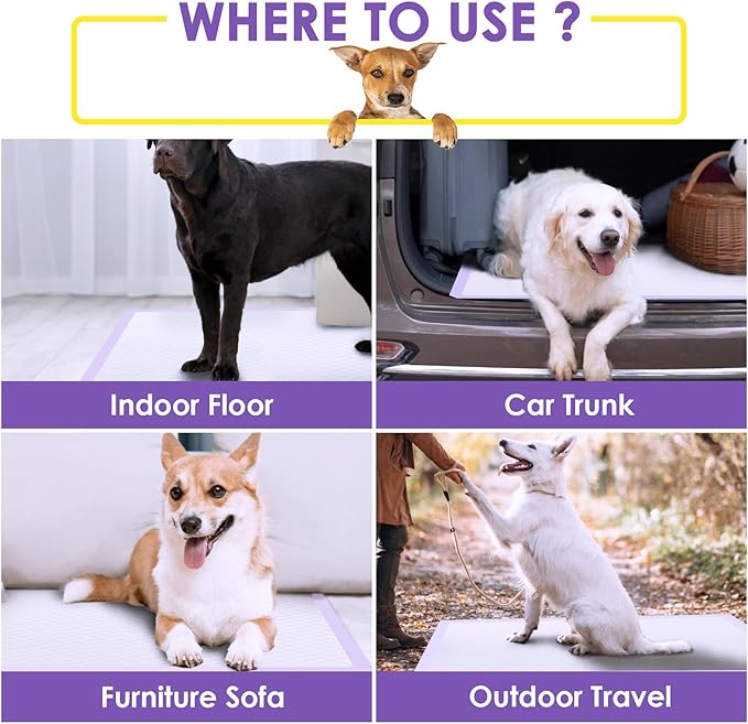 JollyMate Extra Large Dog Pee Pads 36"x36", 30 Counts Leak-Proof Heavy Absorbent Pee Pads for Dogs, Quick Dry Disposable Dog Training Pads