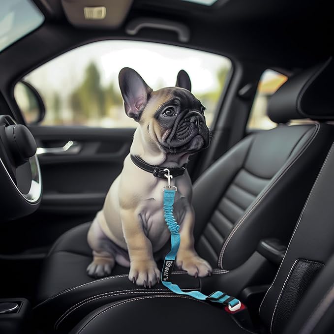 IBWell Dog Seat Belt for Car with Elastic Bungee Leash, Car Leash Car Seat Belt for Dogs (Grey, 2PCS-27.6")