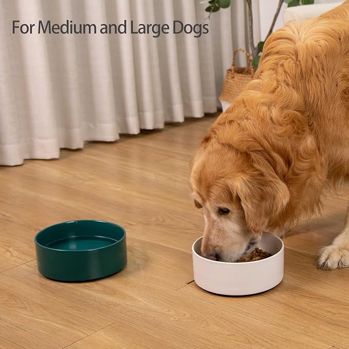 Kitwinney Large Dog Bowls, Non Slip Heavy Ceramic Dog Food and Water Bowl with Silicone Base, 8" Pet Feeding Bowl for Small, Medium, and Big Dogs (Green, 8 Inches)