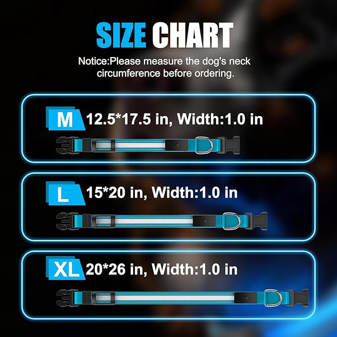 LED Dog Collar Rechargeable- Brightest Light Up Dog Collars - 1,600 Feet of High Visibility - Magnetic Charging - Glow in Dark Dog Lights for Night Walking, Blue XL