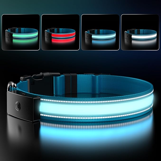 LED Dog Collar Rechargeable- Brightest Light Up Dog Collars - 1,600 Feet of High Visibility - Magnetic Charging - Glow in Dark Dog Lights for Night Walking, Blue M