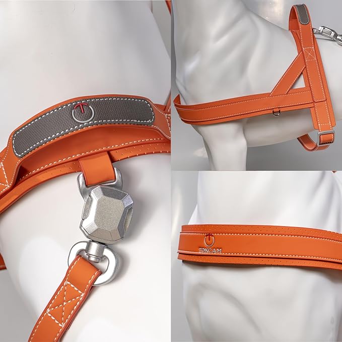 Magnetic Quick-Release Buckle Dog Harness and Leash Set, Easy Walk Faux Leather Puppy Harness, Easy On & Off Dog Vest with Handle for Medium, Large Girl Boy Dogs for Hiking Training, Orange, L