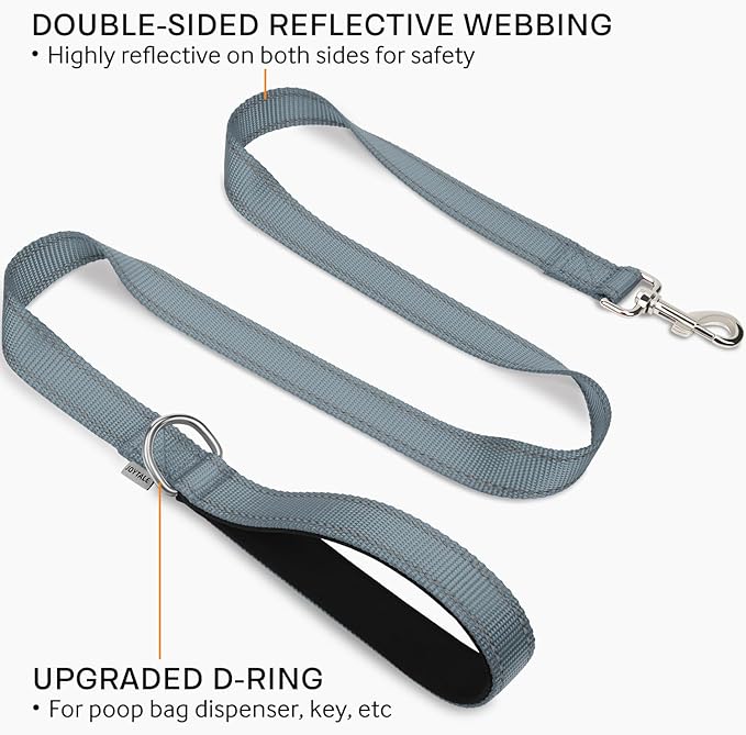 Joytale Double-Sided Reflective Dog Leash, 4 FT, Padded Handle Nylon Heavy Duty Leashes for Medium & Large Dogs Walking, Gary