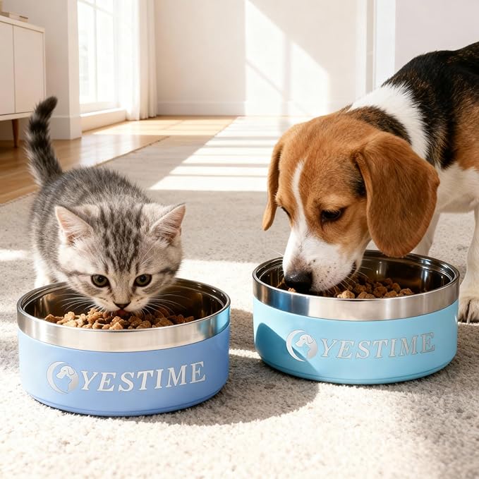 Personalized Dog Bowl with Name,Customized Steel Stanless Pet Water Bowls for Both Cat & Dog,Customized Gifts for Your Aadorable Furry Friend (Black)