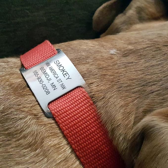 LuckyPet Slide-On Pet ID Tags - Dog Tags Personalized - Durable Engraved Stainless Steel Pet Name Tags - Noiseless Dog Tag - Suitable for Dogs and Cats - Fits 3/4 in Collars - Medium Plus, Open Ends