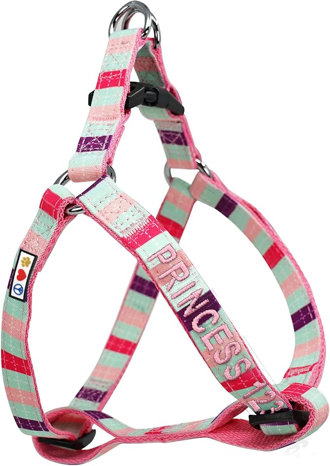 Pawtitas Personalized Dog & Puppy Harness Small Teal/Pink/Purple Custom ID Tag Adjustable No Pull Vest