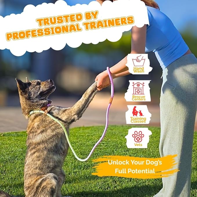 Dog Leash - Slip Leads for Dogs, 5 FT Pet Training Leash, Strong Heavy Duty Braided No Pull Loop Rope Training Lead Leashes for Small, Medium, Large Breeds, Purple & Green