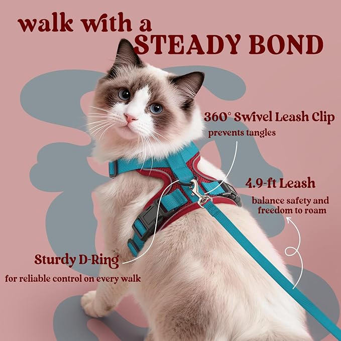 rabbitgoo Cat Harness and Leash for Walking, Escape Proof Soft Adjustable Vest Harnesses for Cats, Easy Control Breathable Reflective Strips Jacket, Red & Teal, XS