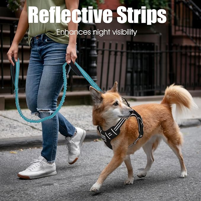 BUMBIN 6Ft Dog Leash Large Dogs, Bungee Dog Leash with 2 Handles, Heavy Duty Leashes for Medium Small Dogs, No Pull Shock Absorbing，with Car Seat Belt for Training, Blue