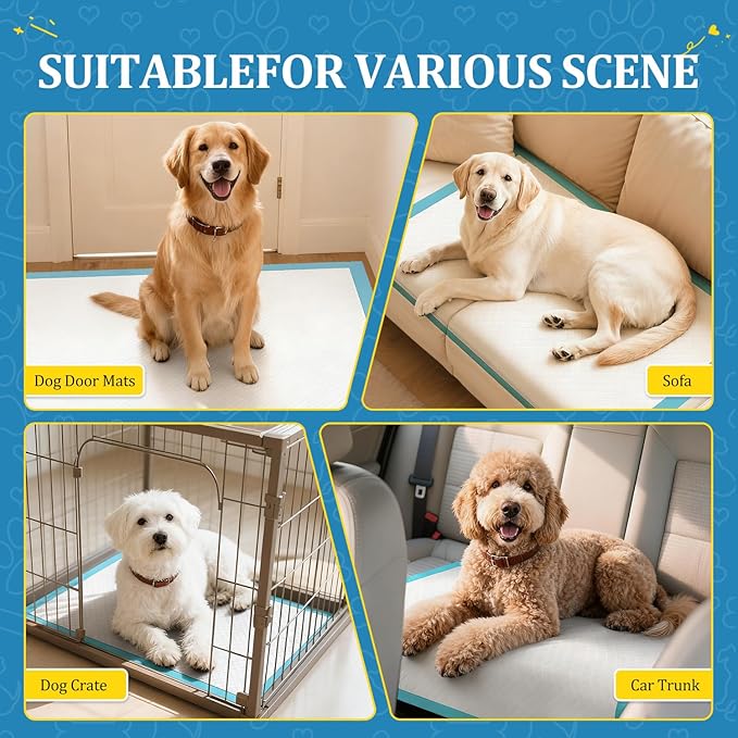 Extra Large Dog Pee Pads, 31"x36" Jumbo Puppy Potty Training Pads | 100 Count Super Absorbent & Leak-Proof Pads for Large Breed Dogs, Great for Crate Lining & Floor Protection