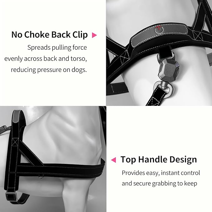 Magnetic Quick-Release Buckle Dog Harness and Leash Set, Easy Walk Faux Leather Puppy Harness, Easy On & Off Dog Vest with Handle for Medium, Large Girl Boy Dogs for Hiking Training, Black, M