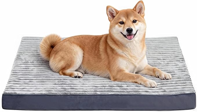 Dog Bed Large Sized Dogs, Orthopedic Flannel Pet Beds with Removable Washable Cover, Waterproof Indestructible Big Dog Bed with Anti-Slip Bottom, Egg Crate Memory Foam Pad, 35.0"x22.0"x3.0", Grey