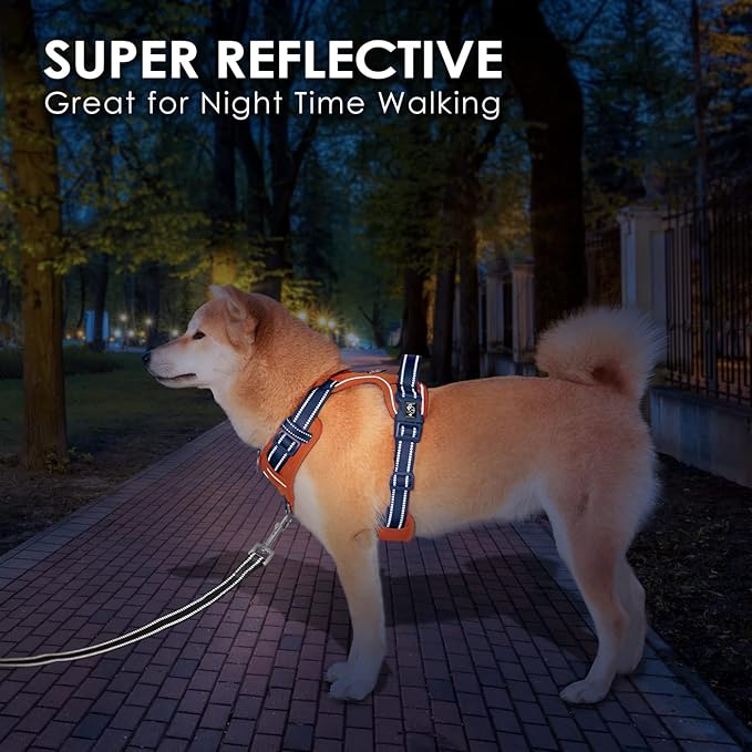 PHOEPET No Pull Dog Harness, Unique Colors Reflective Adjustable Dog Vest, with Soft Training Handle Metal Clips for Small Medium Large Dogs (Orange Base & Blue Straps,L)