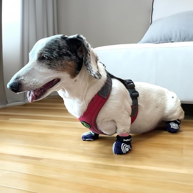 Medical Therapeutic Double Sided Non-Slip Cotton Dog Socks | PawFlex Comfy Pawz Silicone Grip on Inner Cuff No Twisting or Sliding Off | Senior & Disabled Dog Traction Control |Pet Paw Protection