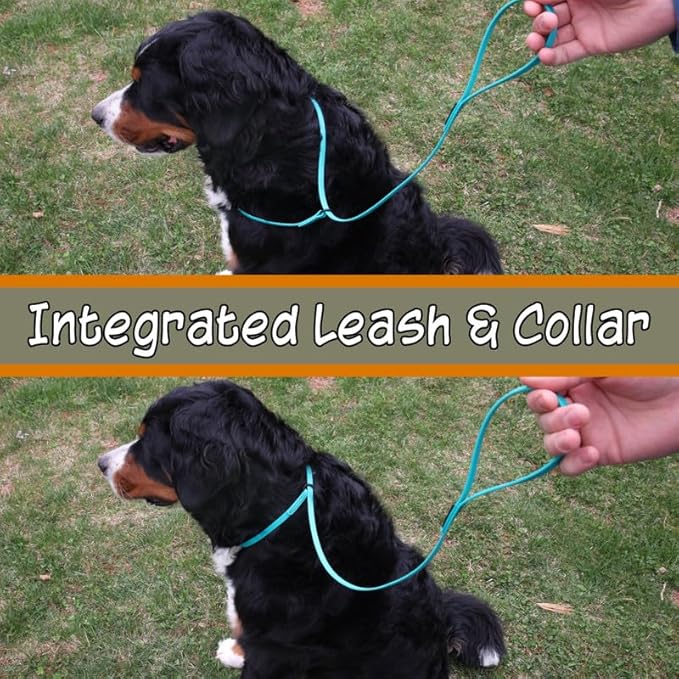 DogBone Slip Lead for Small, Medium, & Large Dogs – No Pull Lasso Style Leash & Collar for Control During Training - Waterproof & Chew Resistant Biothane Alternative - Great Size for Hiking & Travel