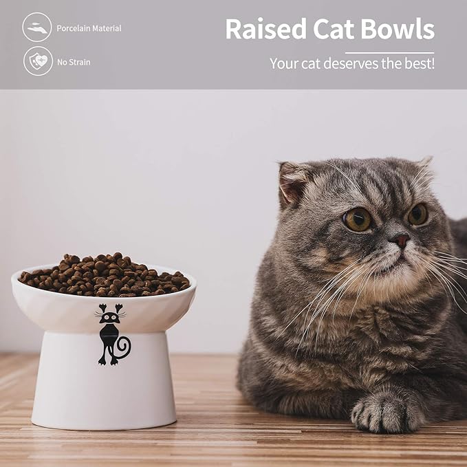 OMAYKEY Ceramic Raised Cat Bowls, Tilted Elevated Cat Food and Water Bowls Set, Porcelain Stress Free Pet Feeder Bowl Dish for Cats and Small Dogs, Dishwasher and Microwave Safe - White, Set of 2