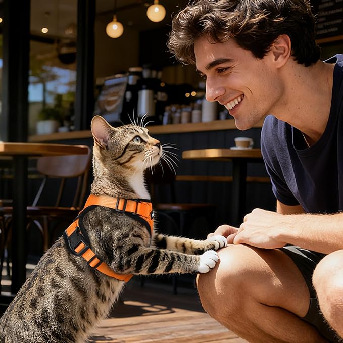Dooradar Cat Harness and Leash Set, Escape Proof Safe Adjustable Kitten Vest Harnesses for Walking, Easy Control Soft Breathable Mesh Jacket with Reflective Strips for Cats, Orange, XS
