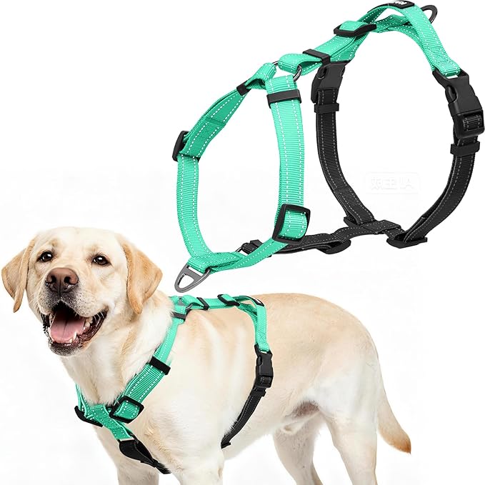 Dog Harness,Adjustable No Pull Dog Harness,Y-Shaped Design,Buckle-Neck Balance Harness with Reflective, Ideal for Dog Training Hiking, Easy Walk Harness,Durable High-Tensile Nylon Aqua Green-S