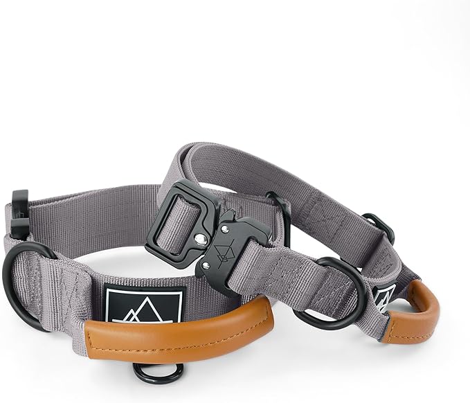 Made to ROAM Premium Explorer Control Collar - Adjustable Heavy Duty Nylon Dog Collar with Quick-Release Metal Buckle and Handle (Montana Moonrise, Control Size 3)