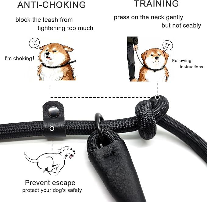 Slip Leash for Dogs, Heavy Duty No Pull Dog Training Leash, 6FT Strong Nylon Rope Slip Leads Control Leashes for Large Medium Dogs (Black)