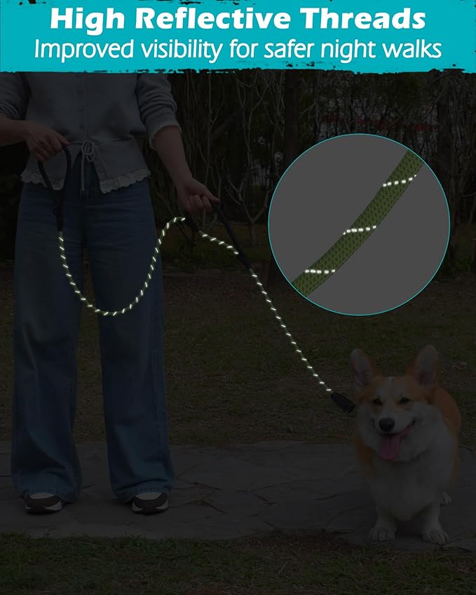 PetBonus Double Handle Rope Dog Leash, 6FT Heavy Duty Training Lead with Lockable Hook and 2 Comfortable Padded Handles, Reflective Walking Nylon Leash for Small Medium Dogs (11-55 lbs, Green)