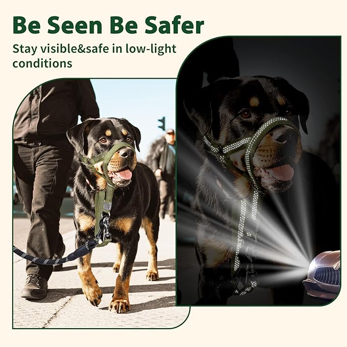 BARKLESS Sturdy No Pull Head Collar for Medium Large Dogs, Gentle Reflective Head Halter with Safety Link, Adjustable Nylon Dog Training Muzzle Leash for Walking Control (Green, XXL)