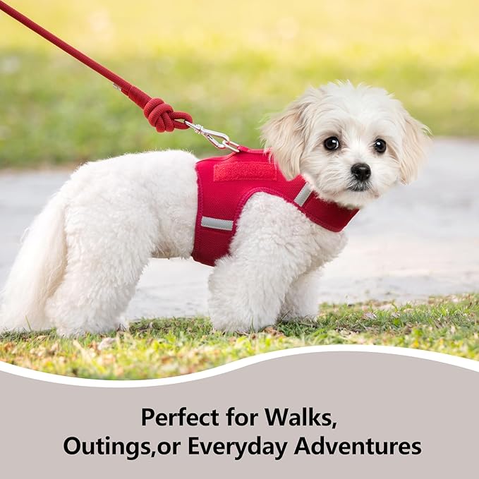 Dog Harness for Puppy – Adjustable Reflective Easy Put On Soft Mesh Vest for Small Dogs with 2 Patches (Burgundy Red,XS)