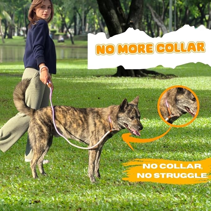 Dog Leash - Slip Leads for Dogs, 5 FT Pet Training Leash, Strong Heavy Duty Braided No Pull Loop Rope Training Lead Leashes for Small, Medium, Large Breeds, Pink & Purple