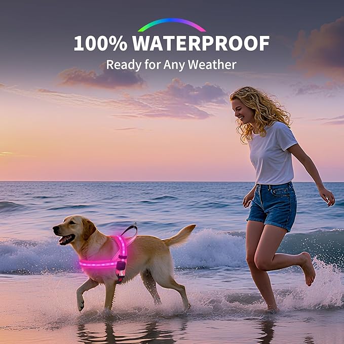 PetIsay LED Light Up Dog Harness - USB-C Rechargeable, IPX7 Waterproof, Reflective, No Pull Dog Vest with Soft Padded Handle for Night Walking(Blue, L)