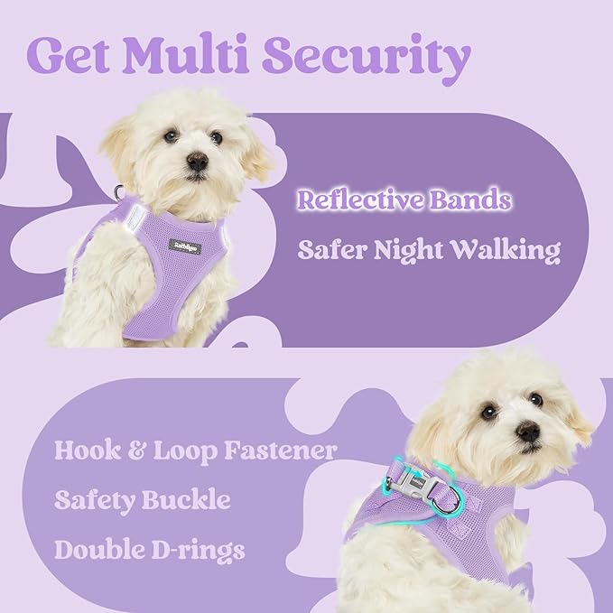 rabbitgoo Small Dog Harness, Step-in Soft Mesh Puppy Vest with Safety Buckle, Breathable Reflective Pet Harness for Small Sized Dogs, Light Purple M