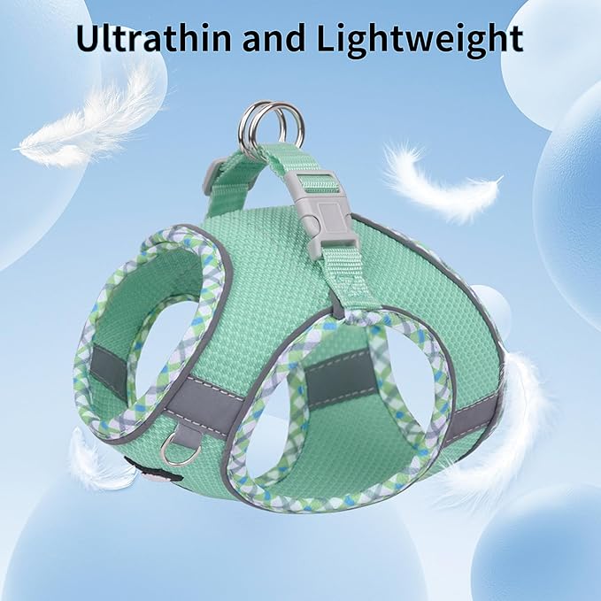 AIITLE Dog Harness and Leash Set - Ultra-Comfortable XXS-XL Vest with Strong Magic Tape & Glow-in-Dark Reflective Strips, Chafe-Free for Teddy, Schnauzer (Sage, M)