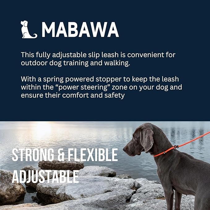 Dog Anti-Slip Leash 5FT with Metal Stopper - Durable No-Pull Training Lead for Small, Medium & Large Dogs - Comfortable Handle Nylon Rope, Tangle-Free Pet Walking Leash (Lake Blue, 5 FT)