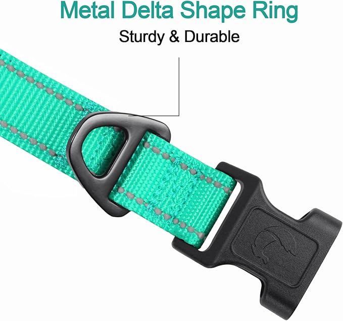 Joytale Reflective Dog Collar, Soft Neoprene Padded, Metal D-Ring, Nylon Pet Collar Adjustable for Extra Large Dogs, Teal, XL