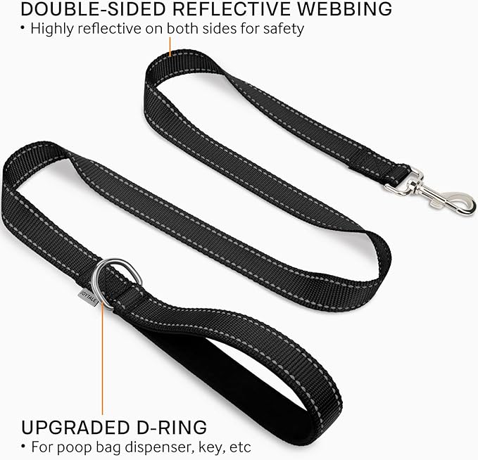 Joytale Double-Sided Reflective Dog Leash, 4 FT, Padded Handle Nylon Heavy Duty Leashes for Medium & Large Dogs Walking, Black