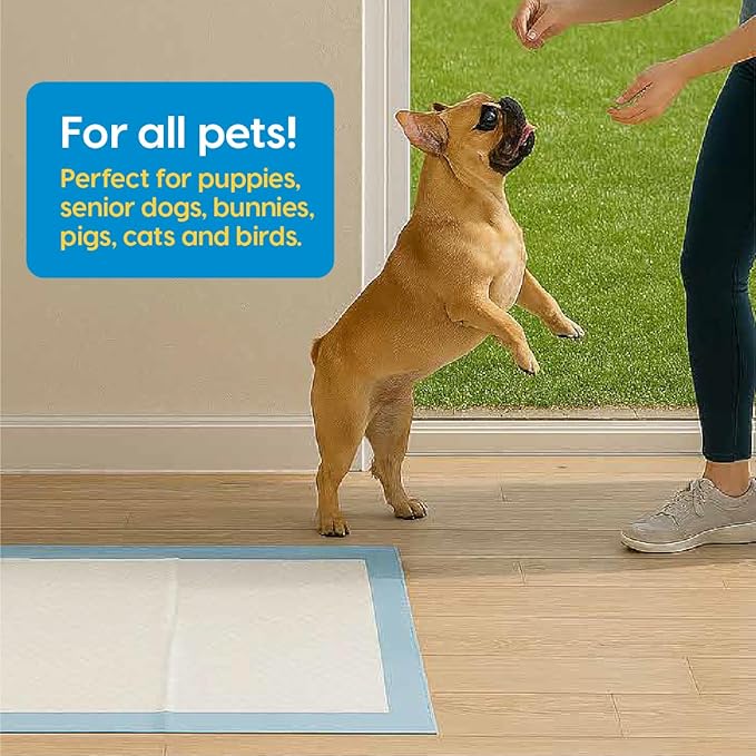 Animal Planet PETS Puppy Pads - Large 22"x22" – 30 Count | Pee Pads for dogs - Leak-Proof and Fast-Absorbing Training Pads - puppy essentials - wee wee pads for Dogs