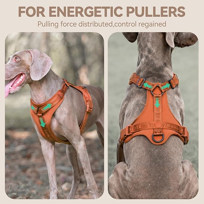 No Pull Dog Harness with Lycra, Three-Point Force Dispersion & 3D Padding, Adjustable Breathable Mesh for Small Medium Large Dogs(Carmel Brown,XS)