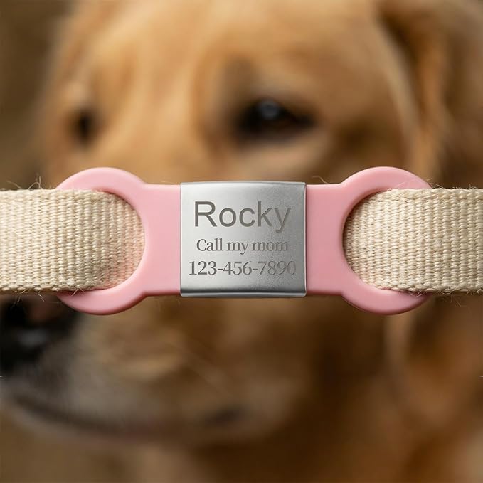 Silent Pet ID Tag - Personalized Engraved Slide-On Dog & Cat Name Tags, Quiet No-Jingle Stainless Steel Collar Tag with Laser Engraving (Metal Silvery+Pink, XL(for 0.98" Wide Collar))