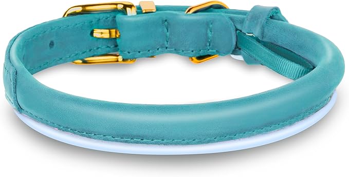 OOPSDOGGY Reflective Rolled Leather Dog Collar Adjustable Soft Padded Pet Collar for Small Medium Large Breed Dogs (Teal, M, 12"-15")