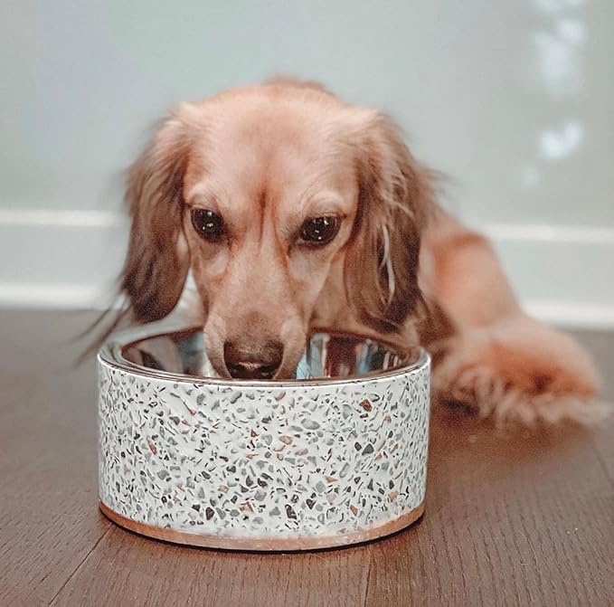 Pet Junkie Terrazzo Single Elevated Pet Bowl Stand with Removable Stainless Steel 16oz Inner Bowl for Small Dog Breed or Cat - Raised Dog Food or Water Station (Small, White)